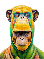 Chimpanzee - zdarma png