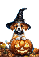 loly33 chien automne halloween - png grátis