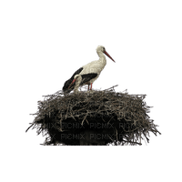 stork - ingyenes png