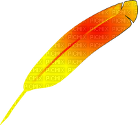feather - ilmainen png