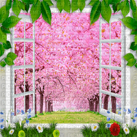 Y.A.M._Summer spring, window flowers background - 免费PNG