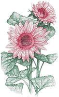 soave deco flowers sunflowers branch pink green - Free PNG