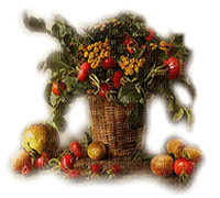 frutas otoño dubravka4 - png ฟรี