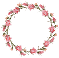 Rose Frame - PNG gratuit