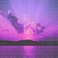 purple sunset transparent bg violet coucher de soleil fond