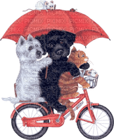 chien  chat vélo parapluie
