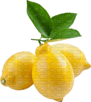 lemon fruit bp - 無料png