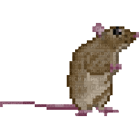 Pixel Art Mouse - GIF animado gratis