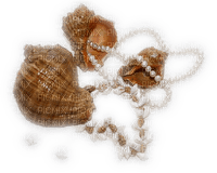 Kaz_Creations Deco Shells - 免费PNG