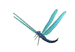 Dragonfly katrin - Besplatni animirani GIF