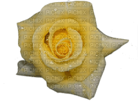 rose jaune.Cheyenne63 - PNG gratuit