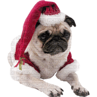 Kaz_Creations Dogs Dog Pug Christmas - фрее пнг