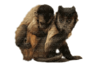 Kaz_Creations Animals Monkeys - png grátis