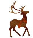 Reindeer - Δωρεάν κινούμενο GIF