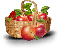 patymirabelle fruits - kostenlos png