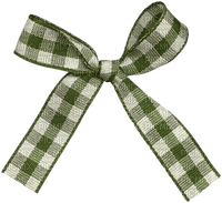 green bow - PNG gratuit