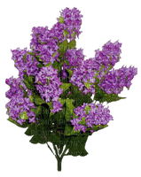 fleurs - безплатен png