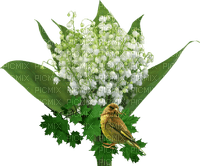 Frühling, Vogel, Blumen - ilmainen png
