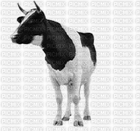 cow - Gratis animeret GIF