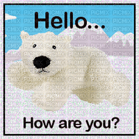 polar bear - Δωρεάν κινούμενο GIF