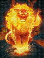 Kaz_Creations Deco Fire Flames - 無料png