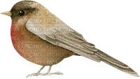 dolceluna deco bird brown - PNG gratuit