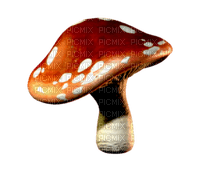 VanessaValo _crea = red  mushroom - Free PNG