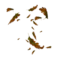 leaves falling fly autumn brown - PNG gratuit