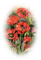 loly33  coquelicot - gratis png