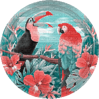 soave background animated  parrot   pink teal - Δωρεάν κινούμενο GIF