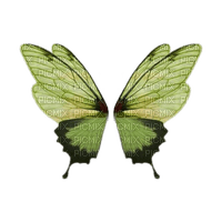 fairy butterfly wings - 無料png