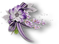 blomma-lila - kostenlos png