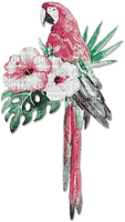 soave deco summer bird tropical parrot flowers - Free PNG