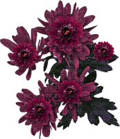 blommor-mörkrosa---flowers-dark pink - ilmainen png