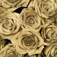 gold roses - darmowe png