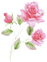 roses -c - бесплатно png