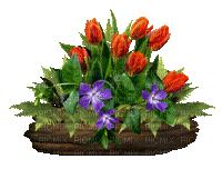 Arreglo floral - Ingyenes animált GIF
