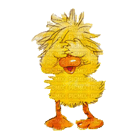 Animated Easter Duck Peek a Boo - GIF animé gratuit