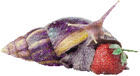 strawberry snae - Nemokamas animacinis gif