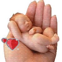 un bébé tient dans ma main - Gratis geanimeerde GIF