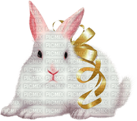 Y.A.M._Easter rabbit - nemokama png