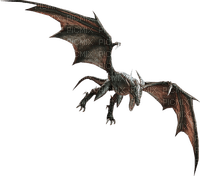 Drachen Dragon - PNG gratuit