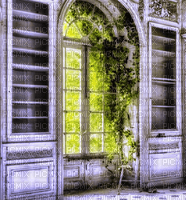 Rena Hintergrund Background Window Fenster - png grátis