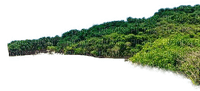 Wald - PNG gratuit