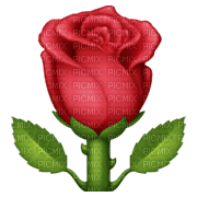 Rose - By StormGalaxy05 - PNG gratuit