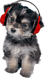 Kathleen Reynolds Dog Pup - gratis png
