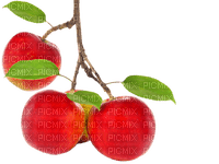 manzanas - бесплатно png