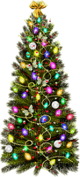 christmas tree, joulukuusi - 無料png