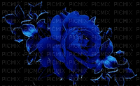 MMarcia gif rosa azul  blue rose - GIF animé gratuit