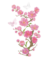 cherry blossom spring - ücretsiz png